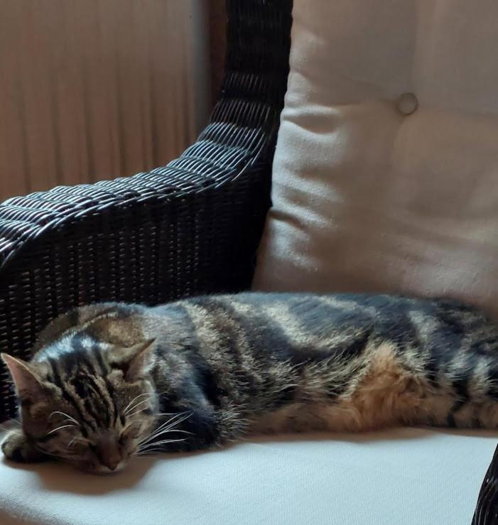 Am Balkon Des Erzgebirges Lägenhet Bernsbach Exteriör bild