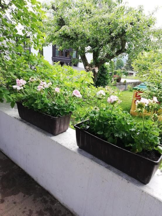 Am Balkon Des Erzgebirges Lägenhet Bernsbach Exteriör bild